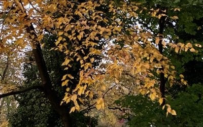 Book your October course today and get out and enjoy the fall foliage