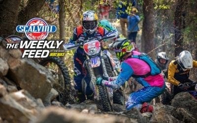 THE WEEKLY FEED: TY DAVIS OFF-ROAD SUPERSTAR • EXTREME VIDEO CHAOS • CRASH & BURN | Dirt Bike Magazine