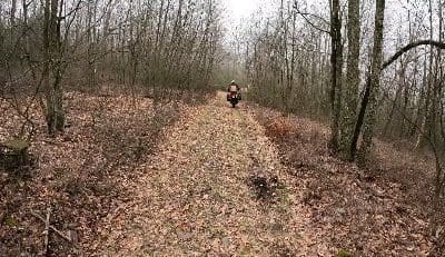 Not our most exciting video, but that’s kinda the point. We were out doing some final route planning today for our upcoming PA Wilds adventure bike training tour on 4/27-28. Our focus is on the “advanced” sections, but take a look. Nothing too crazy at all, right? Still a couple spots left – come join us! More info at link in bio. #adventurebiketours #adventurebiketraining #tdbavideo